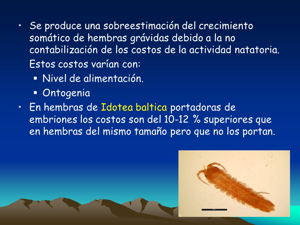 Se produce una sobreestimación del crecimiento somático de hembras grávidas debido a la no contabilización de los costos de la actividad natatoria.