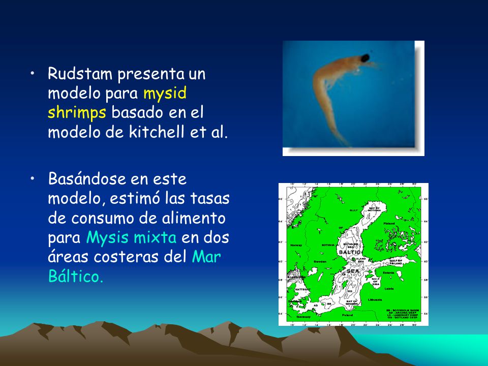 Rudstam presenta un modelo para mysid shrimps basado en el modelo de kitchell et al.