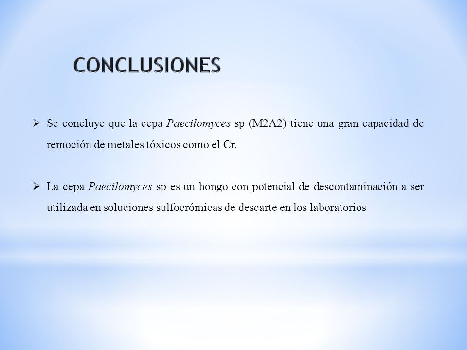 CONCLUSIONES Se concluye que la cepa Paecilomyces sp (M2A2) tiene una gran capacidad de remoción de metales tóxicos como el Cr.