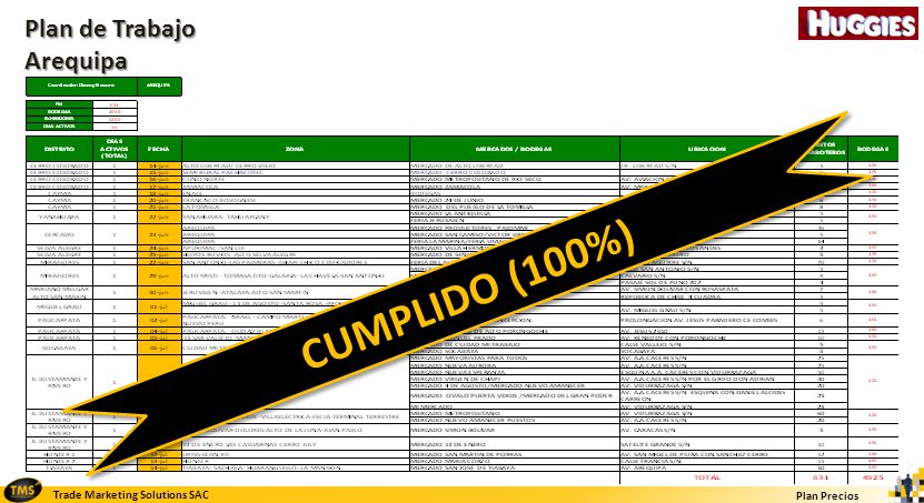 Plan de Trabajo Arequipa CUMPLIDO (100%)