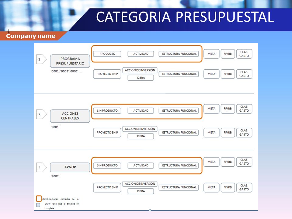 CATEGORIA PRESUPUESTAL
