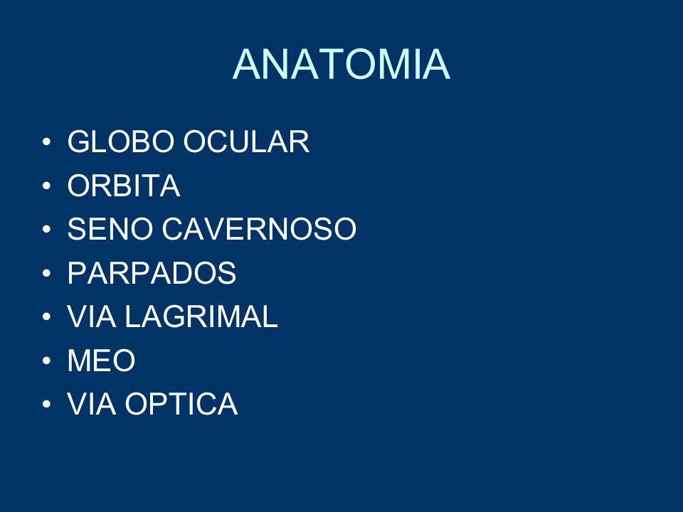 ANATOMIA GLOBO OCULAR ORBITA SENO CAVERNOSO PARPADOS VIA LAGRIMAL MEO