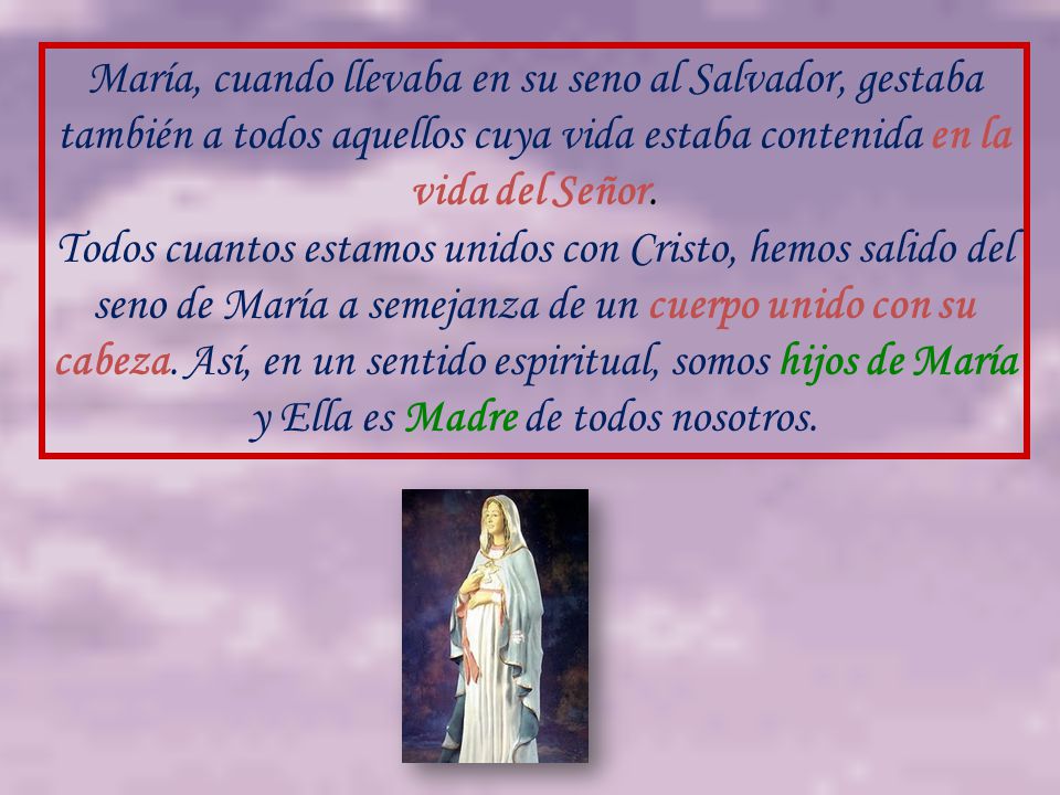 María, cuando llevaba en su seno al Salvador, gestaba también a todos aquellos cuya vida estaba contenida en la vida del Señor.