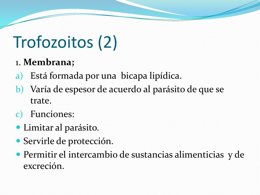 Trofozoitos (2) 1. Membrana; Está formada por una bicapa lipídica.