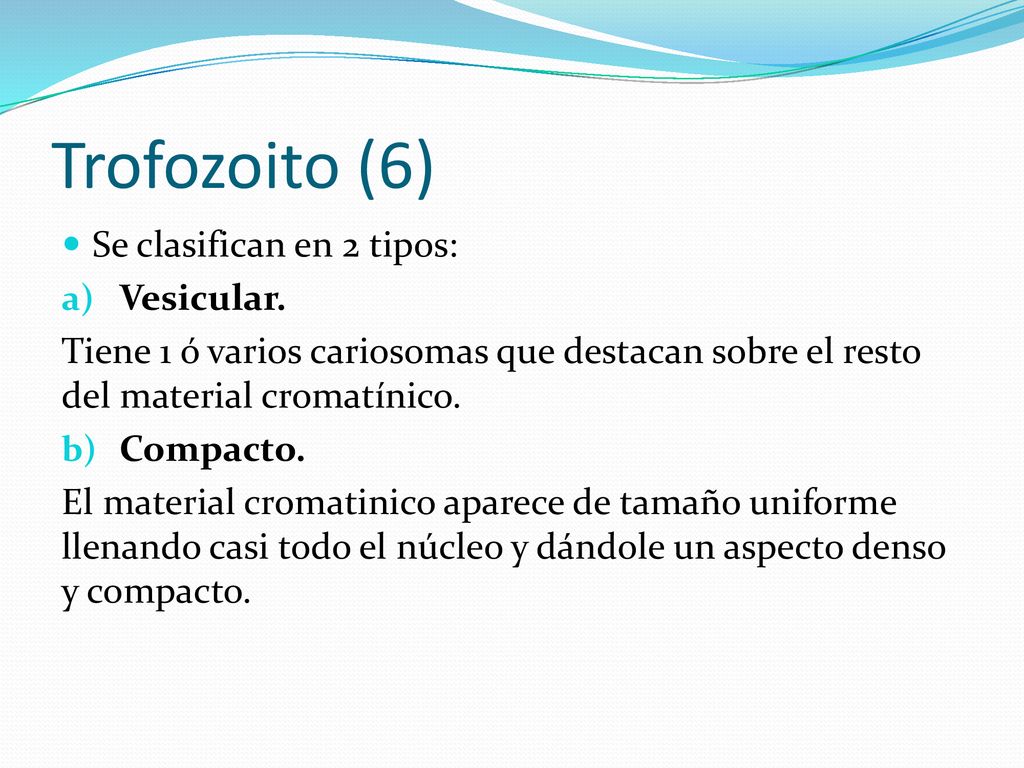 Trofozoito (6) Se clasifican en 2 tipos: Vesicular.