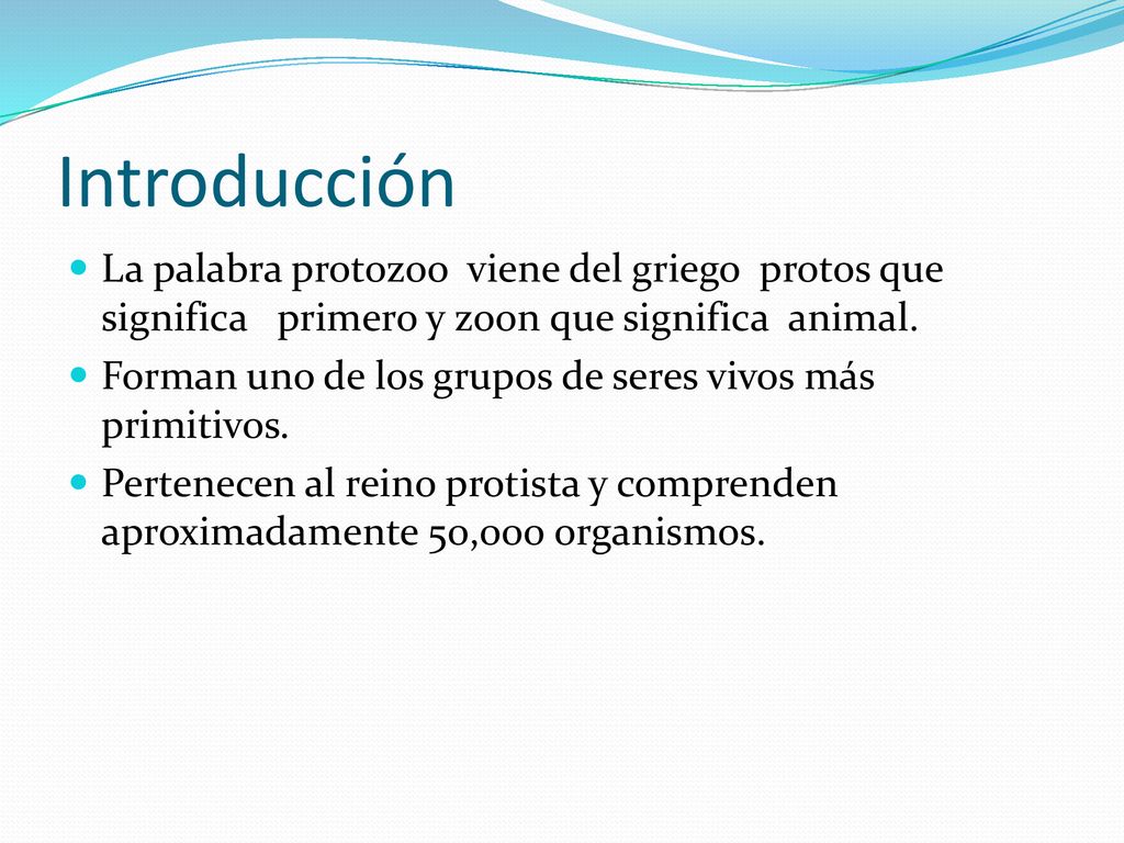Introducción La palabra protozoo viene del griego protos que significa primero y zoon que significa animal.