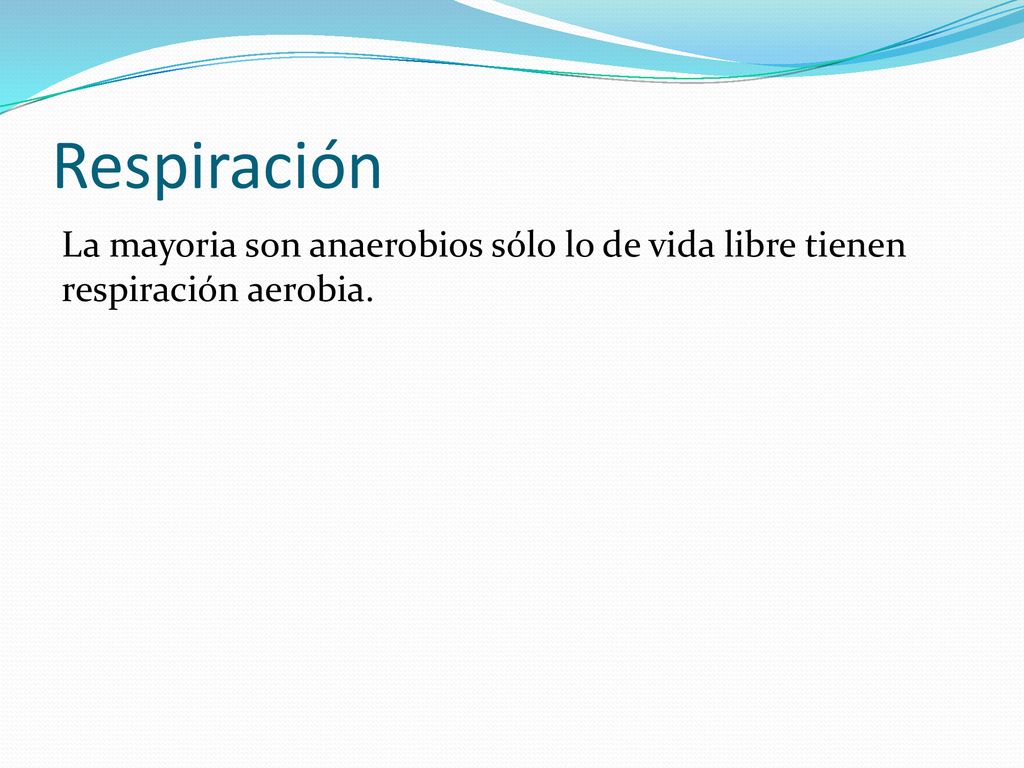 Respiración La mayoria son anaerobios sólo lo de vida libre tienen respiración aerobia.