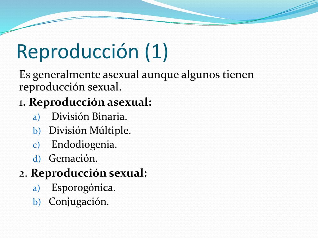 Reproducción (1) Es generalmente asexual aunque algunos tienen reproducción sexual. 1. Reproducción asexual: