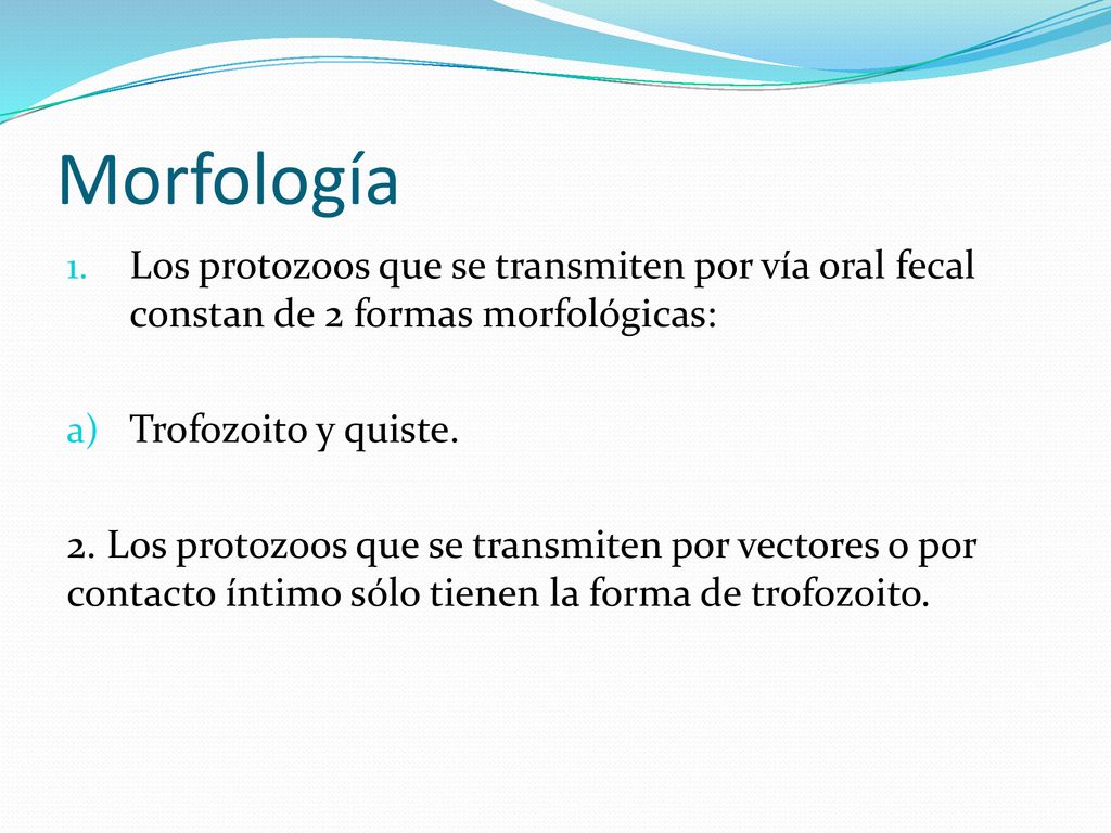 Morfología Los protozoos que se transmiten por vía oral fecal constan de 2 formas morfológicas: Trofozoito y quiste.