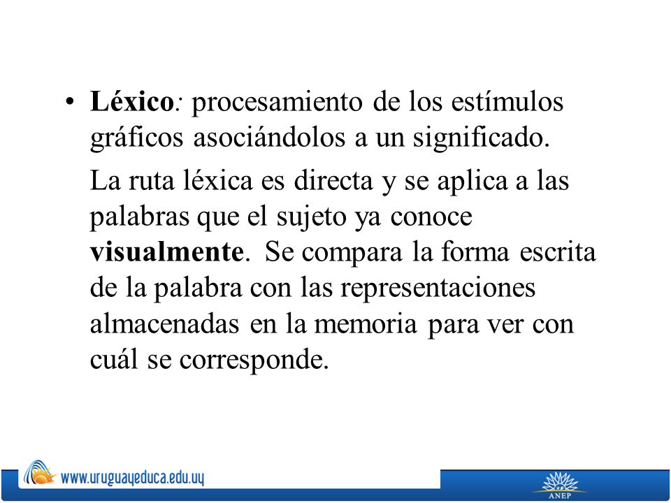 Léxico: procesamiento de los estímulos gráficos asociándolos a un significado.