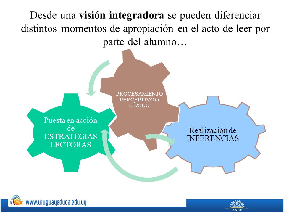 Desde una visión integradora se pueden diferenciar distintos momentos de apropiación en el acto de leer por parte del alumno…