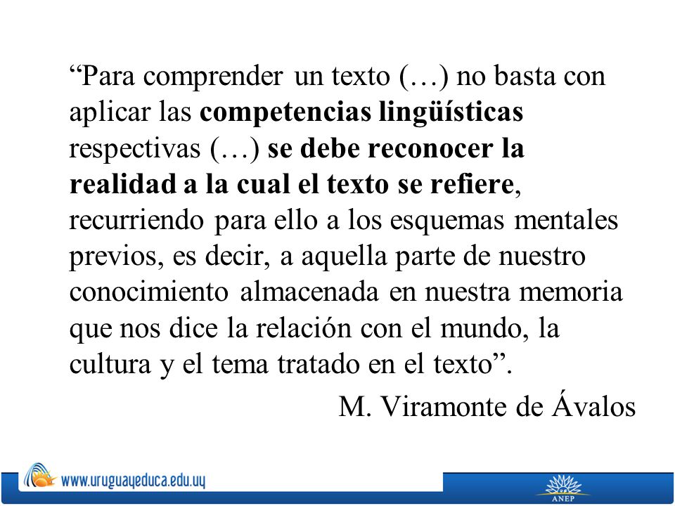 Para comprender un texto (…) no basta con aplicar las competencias lingüísticas respectivas (…) se debe reconocer la realidad a la cual el texto se refiere, recurriendo para ello a los esquemas mentales previos, es decir, a aquella parte de nuestro conocimiento almacenada en nuestra memoria que nos dice la relación con el mundo, la cultura y el tema tratado en el texto .