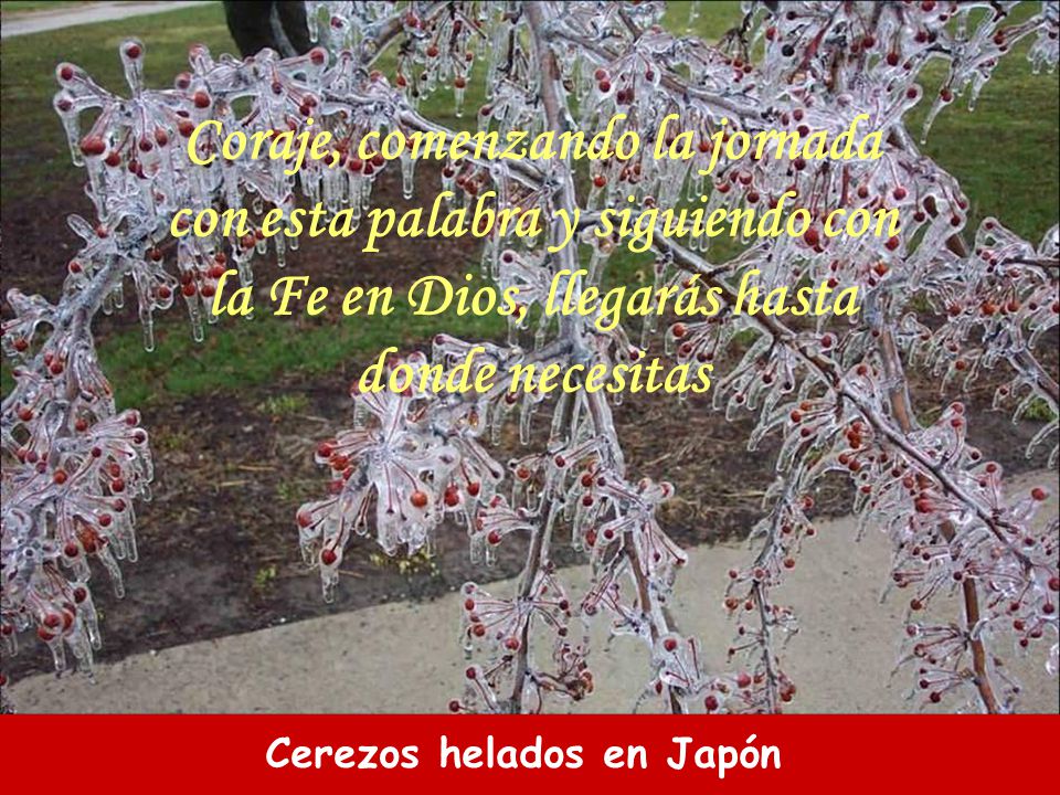 Coraje, comenzando la jornada con esta palabra y siguiendo con la Fe en Dios, llegarás hasta donde necesitas