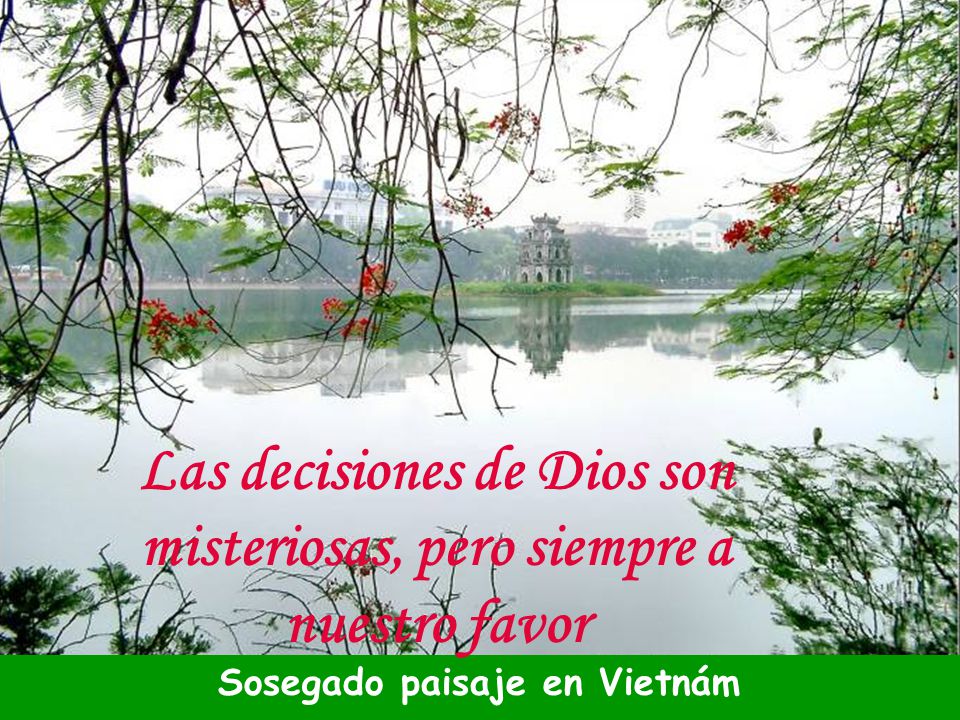 Las decisiones de Dios son misteriosas, pero siempre a nuestro favor
