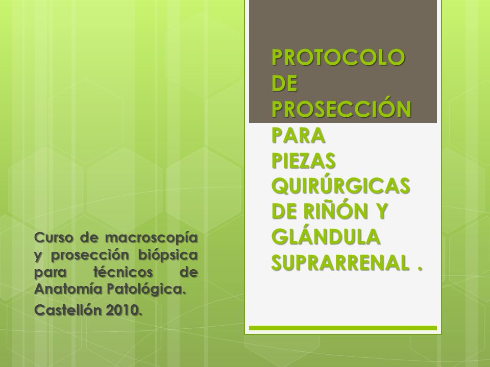 PROTOCOLO DE PROSECCIÓN PARA PIEZAS QUIRÚRGICAS DE RIÑÓN Y GLÁNDULA SUPRARRENAL .