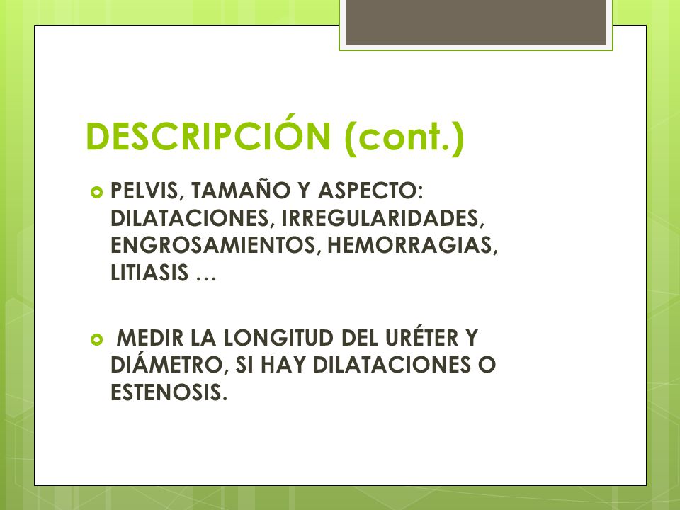 DESCRIPCIÓN (cont.) PELVIS, TAMAÑO Y ASPECTO: DILATACIONES, IRREGULARIDADES, ENGROSAMIENTOS, HEMORRAGIAS, LITIASIS …