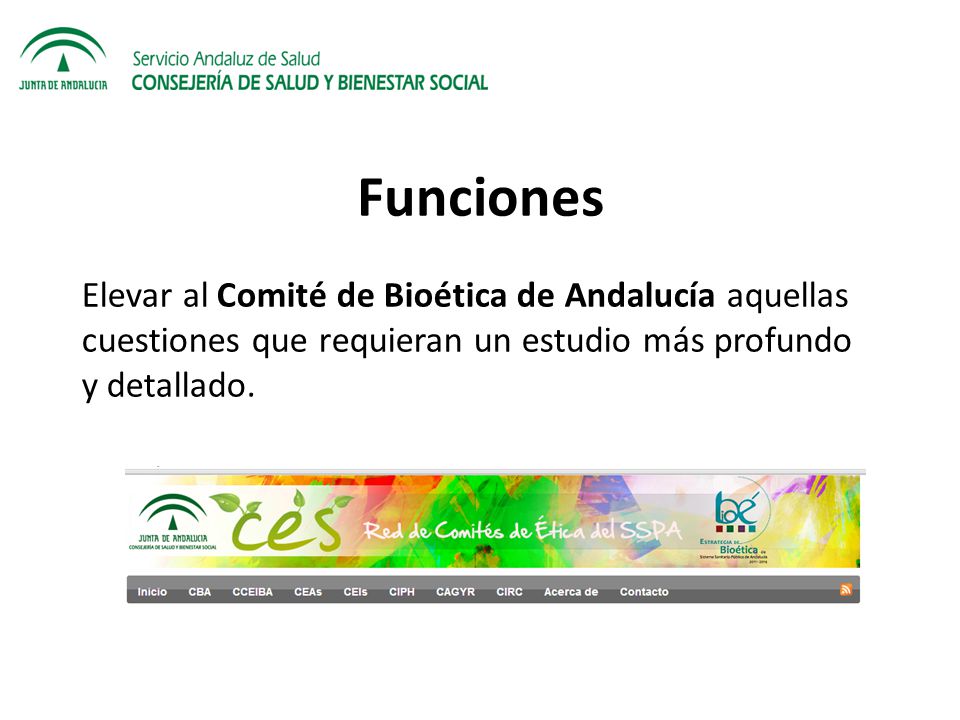 Funciones Elevar al Comité de Bioética de Andalucía aquellas cuestiones que requieran un estudio más profundo y detallado.