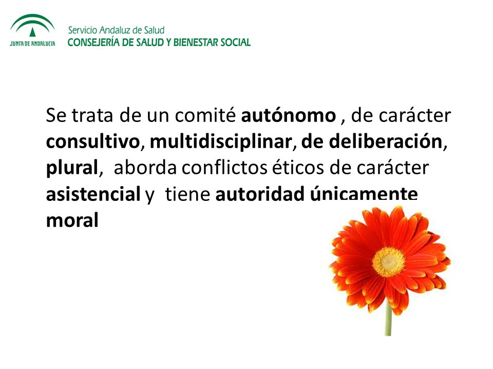 Se trata de un comité autónomo , de carácter consultivo, multidisciplinar, de deliberación, plural, aborda conflictos éticos de carácter asistencial y tiene autoridad únicamente moral