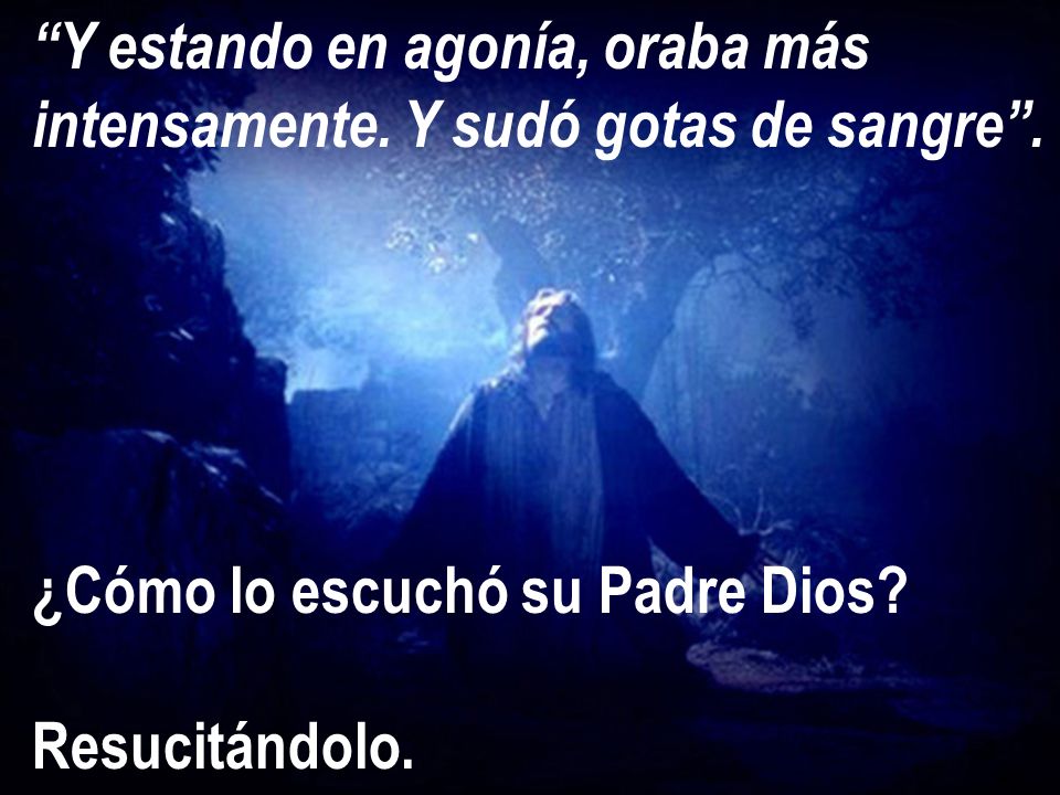 Y estando en agonía, oraba más intensamente. Y sudó gotas de sangre .