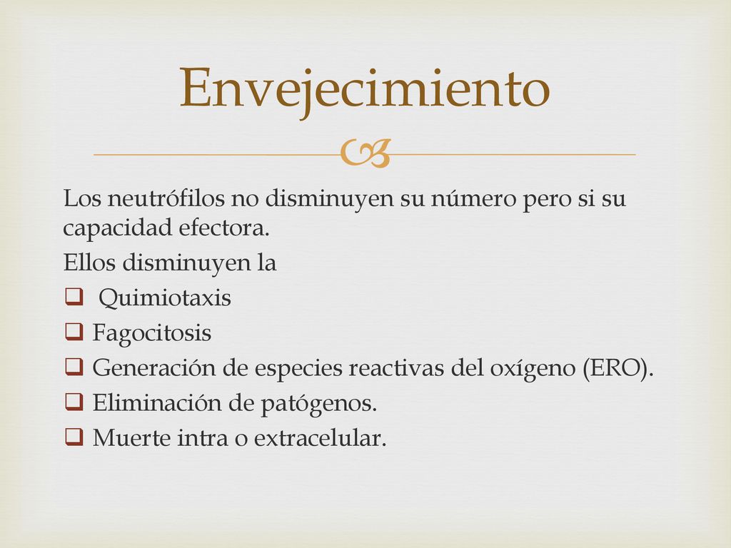 Envejecimiento Los neutrófilos no disminuyen su número pero si su capacidad efectora. Ellos disminuyen la.