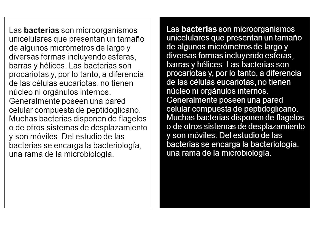 Las bacterias son microorganismos unicelulares que presentan un tamaño de algunos micrómetros de largo y diversas formas incluyendo esferas, barras y hélices. Las bacterias son procariotas y, por lo tanto, a diferencia de las células eucariotas, no tienen núcleo ni orgánulos internos. Generalmente poseen una pared celular compuesta de peptidoglicano. Muchas bacterias disponen de flagelos o de otros sistemas de desplazamiento y son móviles. Del estudio de las bacterias se encarga la bacteriología, una rama de la microbiología.