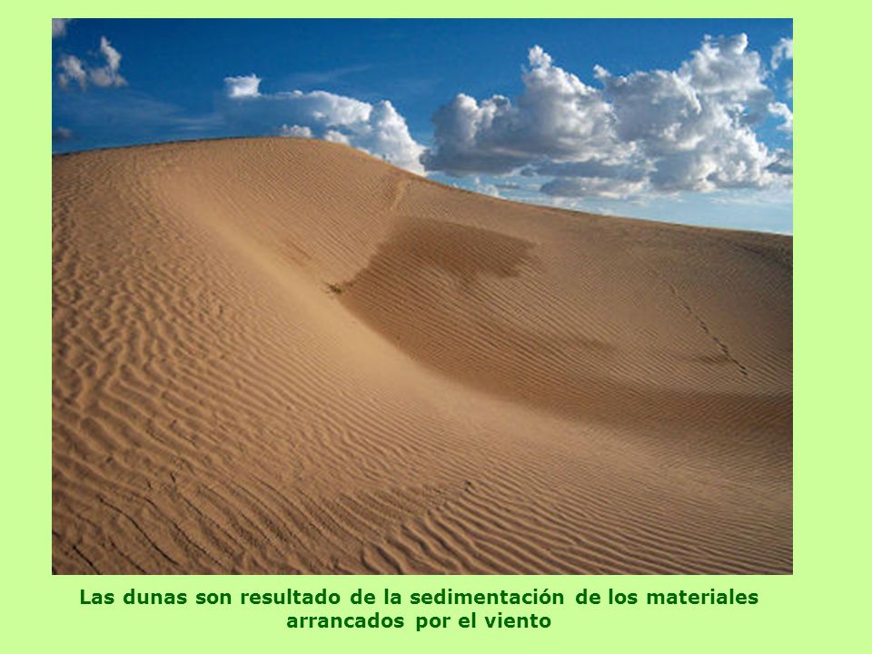 Las dunas son resultado de la sedimentación de los materiales arrancados por el viento