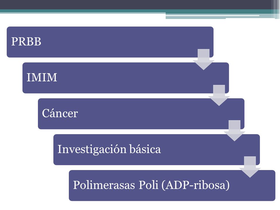 PRBB IMIM Cáncer Investigación básica Polimerasas Poli (ADP-ribosa)