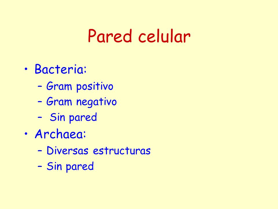 Pared celular Bacteria: Archaea: Gram positivo Gram negativo Sin pared