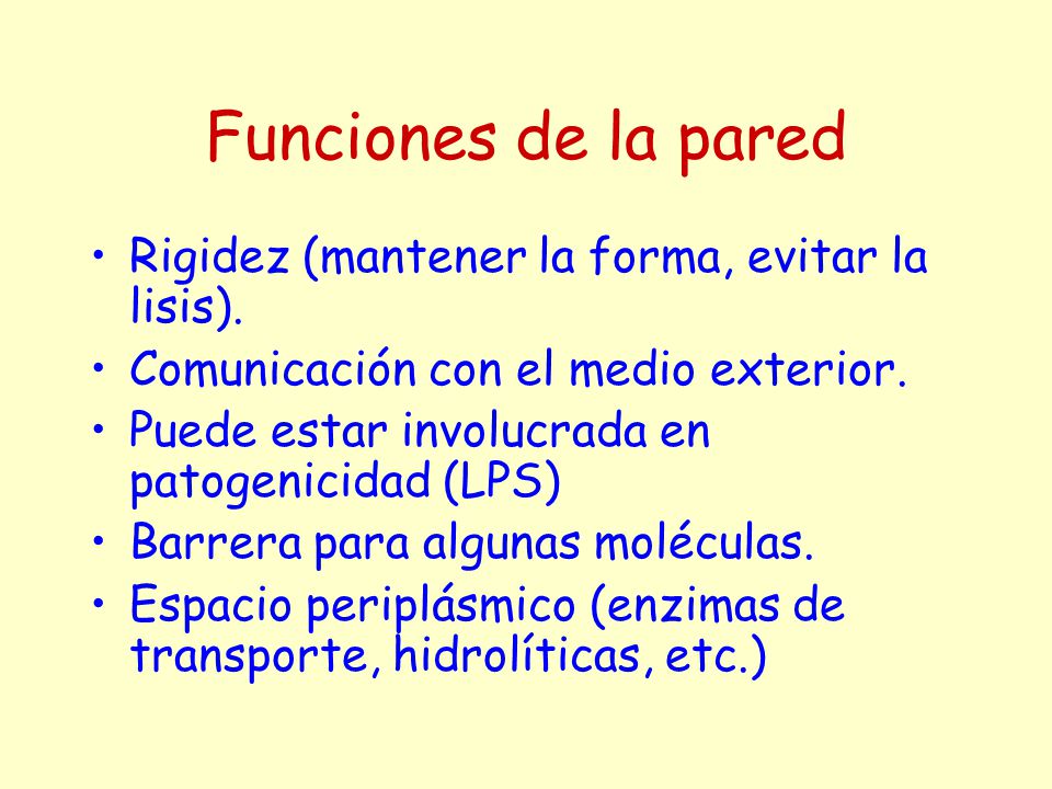 Funciones de la pared Rigidez (mantener la forma, evitar la lisis).