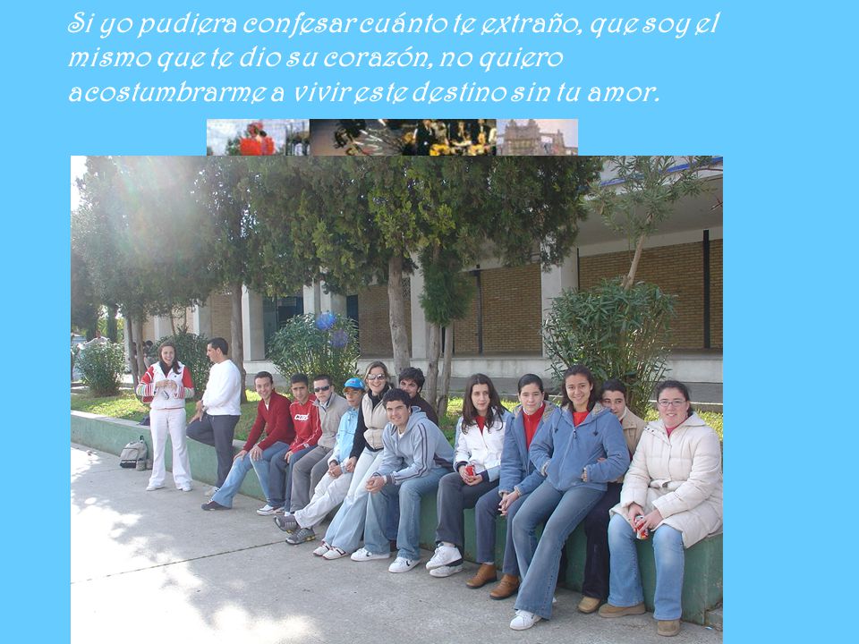 Si yo pudiera confesar cuánto te extraño, que soy el mismo que te dio su corazón, no quiero acostumbrarme a vivir este destino sin tu amor.