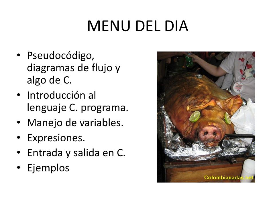 MENU DEL DIA Pseudocódigo, diagramas de flujo y algo de C.