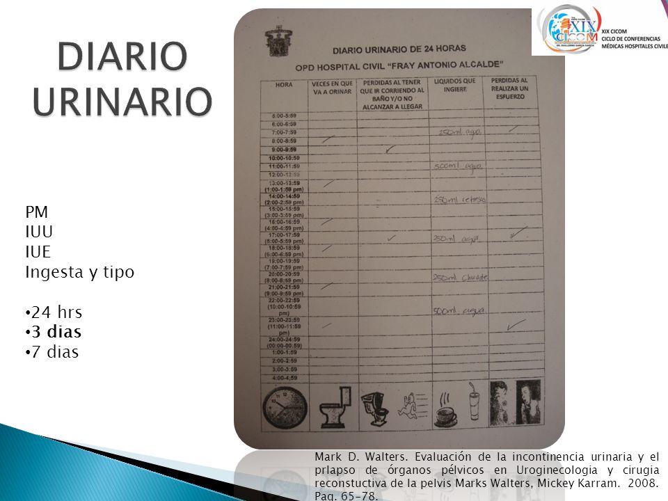 DIARIO URINARIO PM IUU IUE Ingesta y tipo 24 hrs 3 dias 7 dias