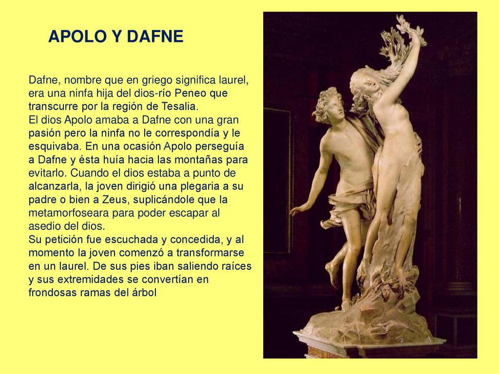 APOLO Y DAFNE Dafne, nombre que en griego significa laurel, era una ninfa hija del dios-río Peneo que transcurre por la región de Tesalia.