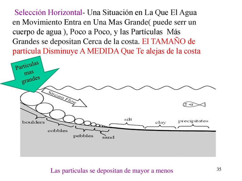 Selección Horizontal- Una Situación en La Que El Agua en Movimiento Entra en Una Mas Grande( puede serr un cuerpo de agua ), Poco a Poco, y las Partículas Más Grandes se depositan Cerca de la costa. El TAMAÑO de partícula Disminuye A MEDIDA Que Te alejas de la costa
