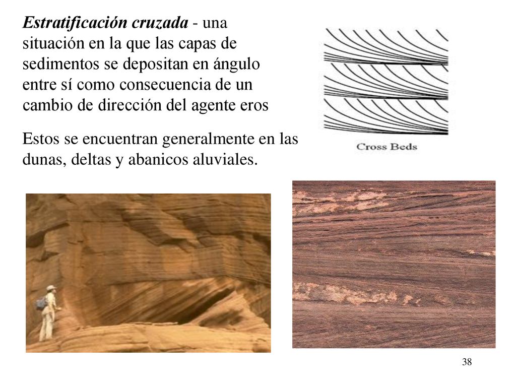 Estratificación cruzada - una situación en la que las capas de sedimentos se depositan en ángulo entre sí como consecuencia de un cambio de dirección del agente eros