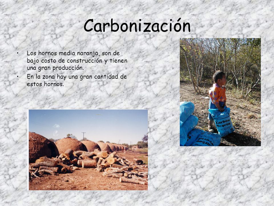 Carbonización Los hornos media naranja, son de bajo costo de construcción y tienen una gran producción.