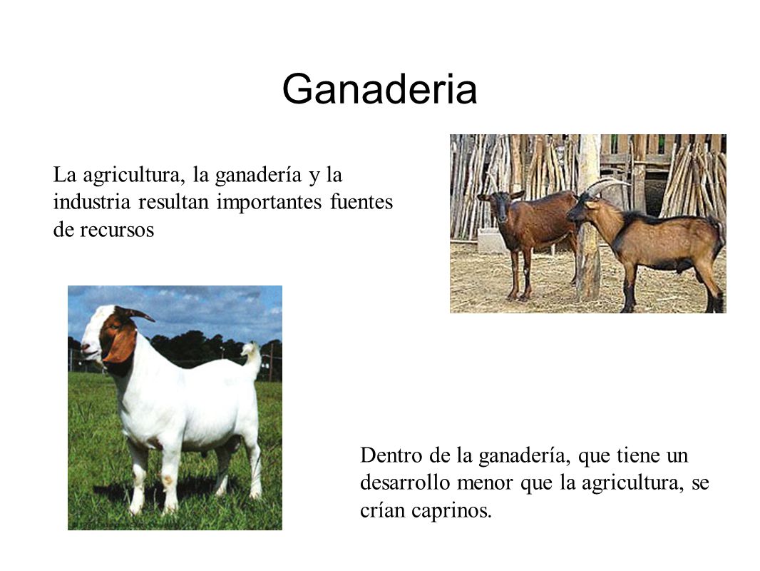Ganaderia La agricultura, la ganadería y la industria resultan importantes fuentes de recursos.