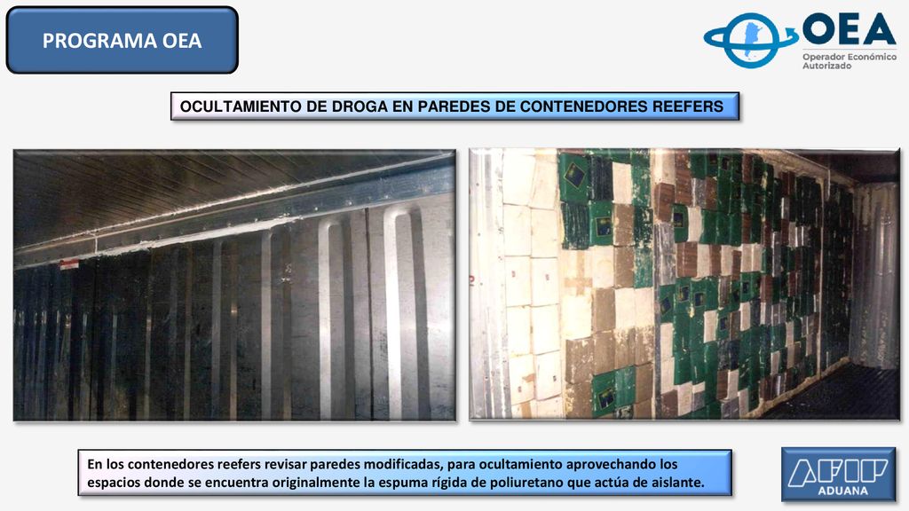 PROGRAMA OEA OCULTAMIENTO DE DROGA EN PAREDES DE CONTENEDORES REEFERS