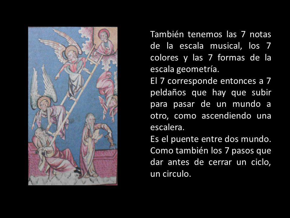 También tenemos las 7 notas de la escala musical, los 7 colores y las 7 formas de la escala geometría.