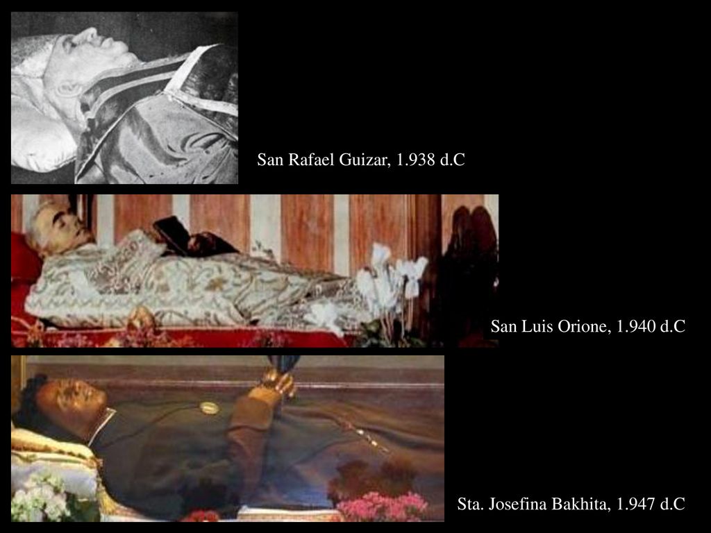 San Rafael Guizar, d.C San Luis Orione, d.C Sta. Josefina Bakhita, d.C