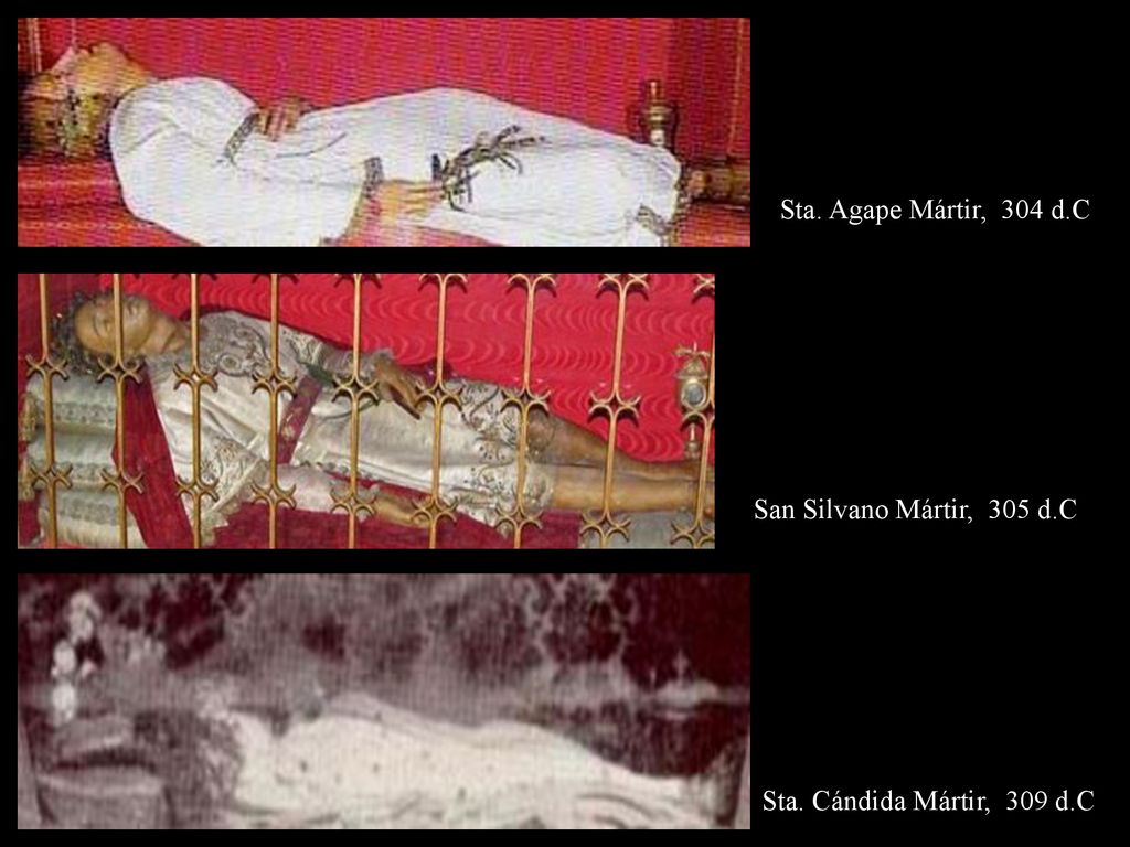 Sta. Agape Mártir, 304 d.C San Silvano Mártir, 305 d.C Sta. Cándida Mártir, 309 d.C