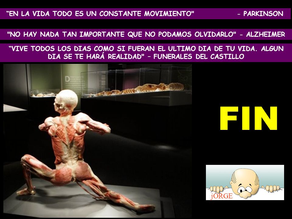 FIN jORGE EN LA VIDA TODO ES UN CONSTANTE MOVIMIENTO - PARKINSON