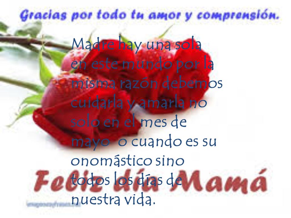 Madre hay una sola en este mundo por la misma razón debemos cuidarla y amarla no solo en el mes de mayo o cuando es su onomástico sino todos los días de nuestra vida.