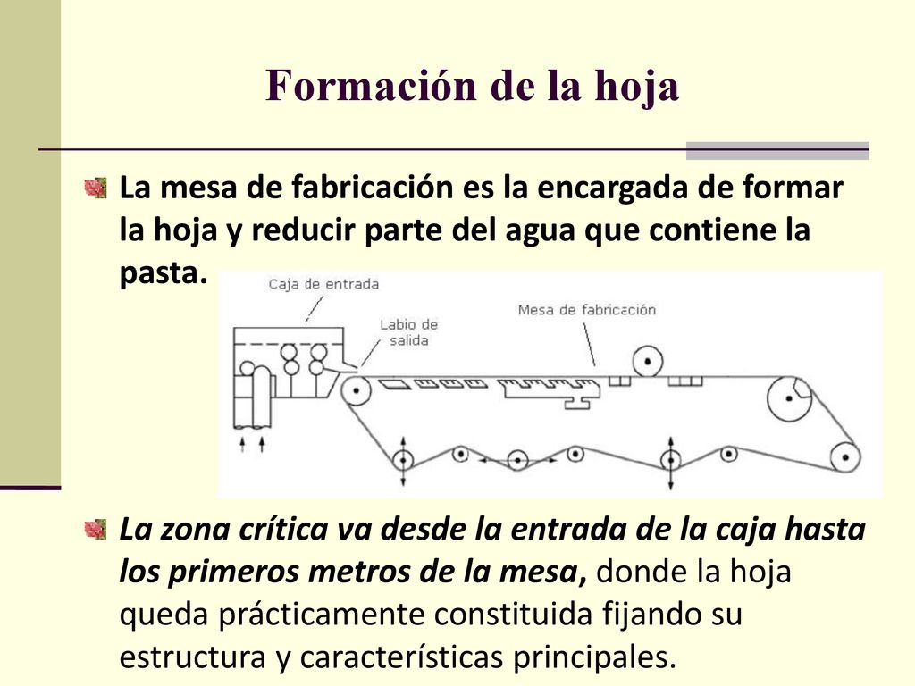 Formación de la hoja La mesa de fabricación es la encargada de formar la hoja y reducir parte del agua que contiene la pasta.
