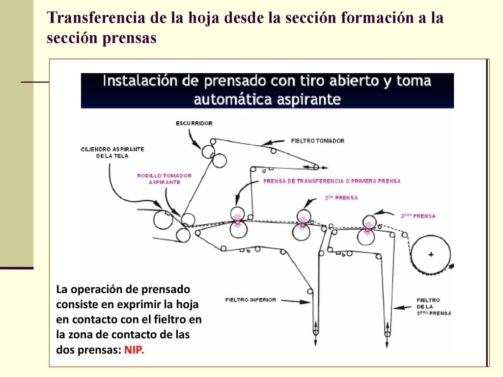 Transferencia de la hoja desde la sección formación a la sección prensas