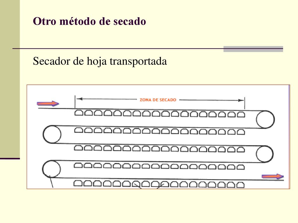 Otro método de secado Secador de hoja transportada