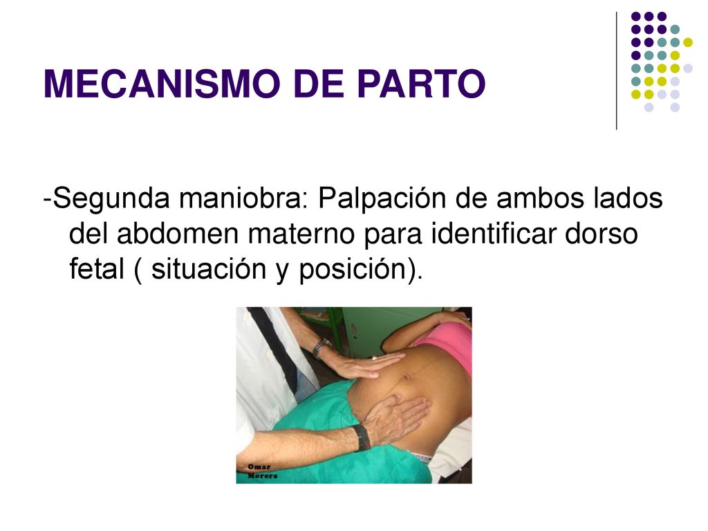 MECANISMO DE PARTO -Segunda maniobra: Palpación de ambos lados del abdomen materno para identificar dorso fetal ( situación y posición).