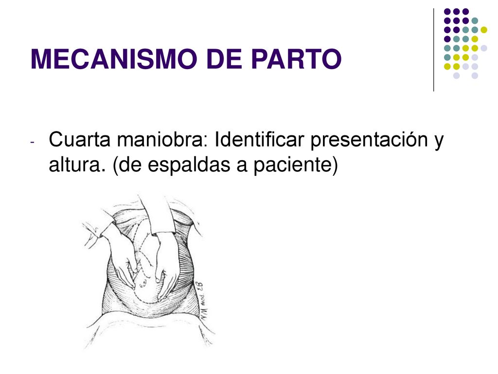 MECANISMO DE PARTO Cuarta maniobra: Identificar presentación y altura. (de espaldas a paciente)