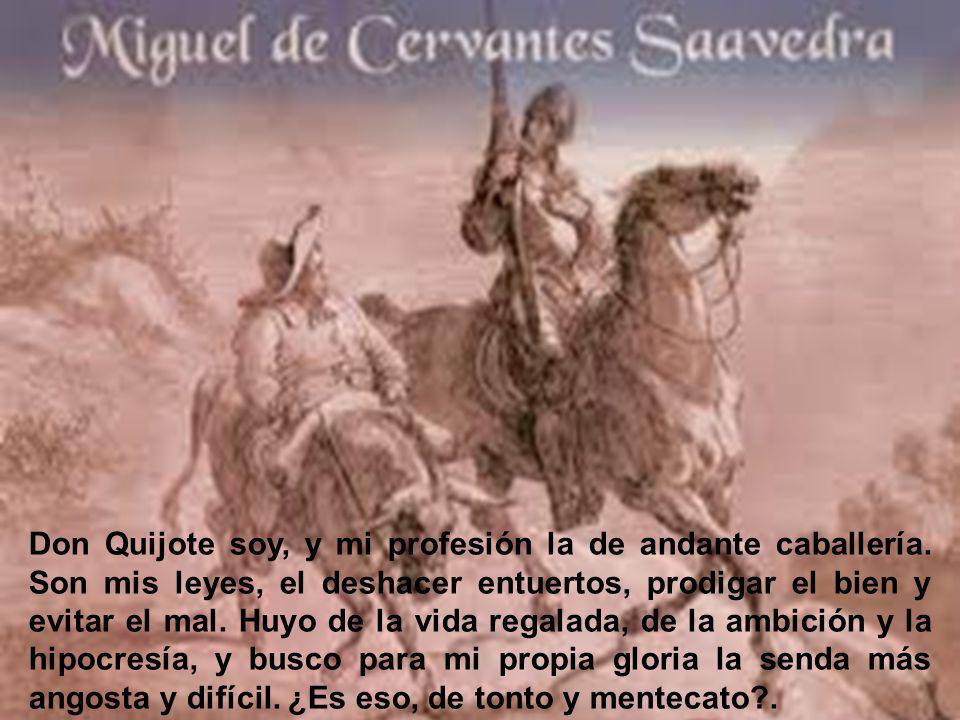 Don Quijote soy, y mi profesión la de andante caballería