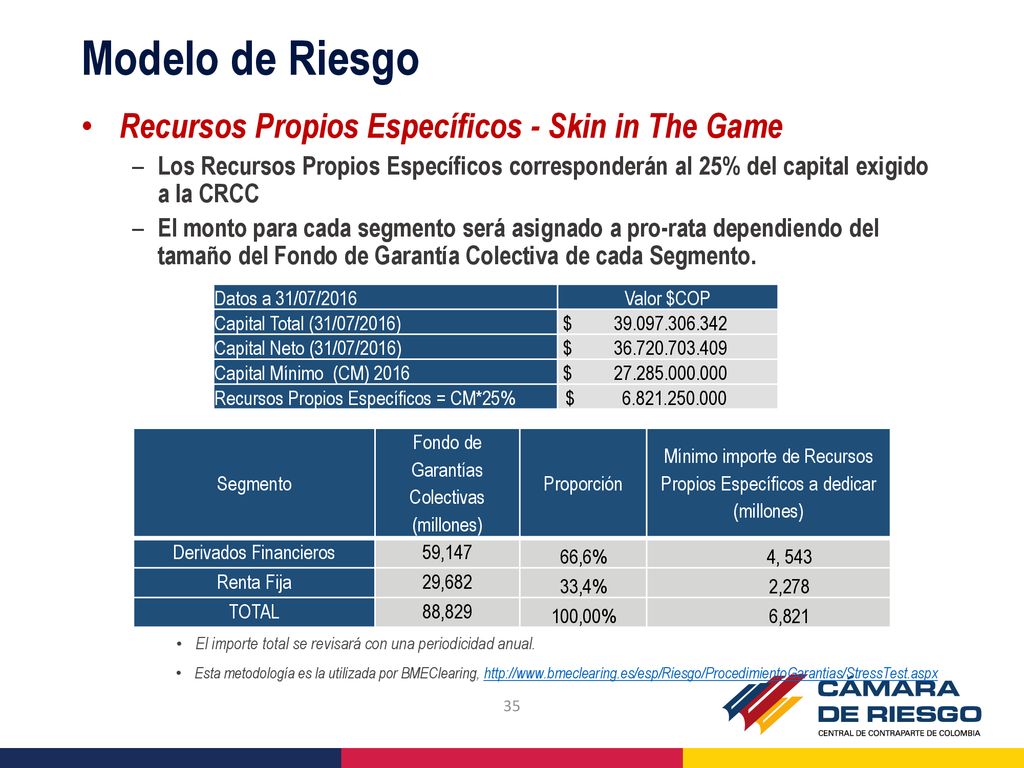 Modelo de Riesgo Recursos Propios Específicos - Skin in The Game